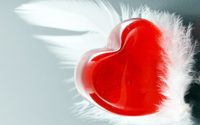 Heart and feather wallpaper