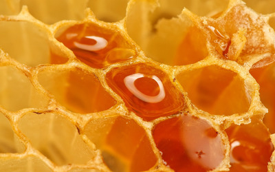 Honeycomb [4] Wallpaper