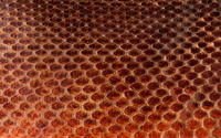 Honeycomb [5] wallpaper 2560x1600 jpg
