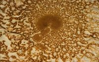 Pancake close-up wallpaper 2880x1800 jpg