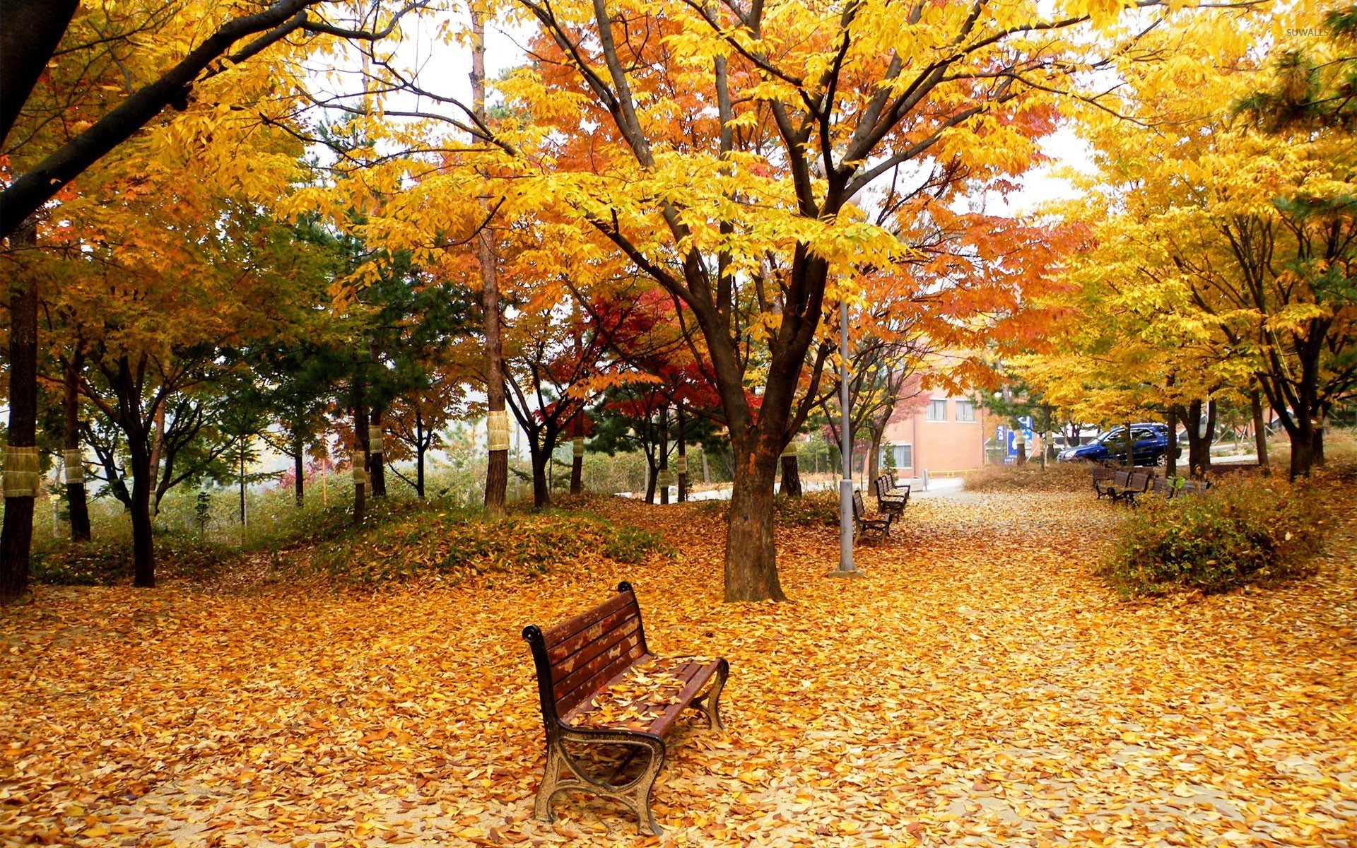 Какая сейчас осень. Осень парк. Осень в парке. Золотая осень в парке. Парк осенью.