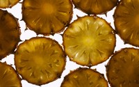 Pineapple slices wallpaper 2560x1600 jpg