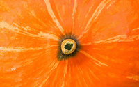 Pumpkin wallpaper 1920x1080 jpg