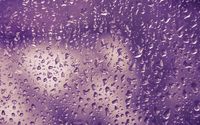 Purple water drops wallpaper 1920x1200 jpg