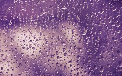 Purple water drops Wallpaper