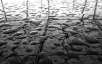 Raindrops on metal wallpaper 2560x1600 jpg