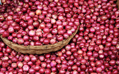 Red onions wallpaper