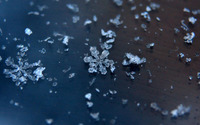 Snowflakes [3] wallpaper 1920x1080 jpg