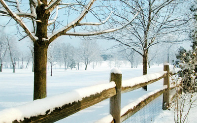 Snowy fence wallpaper