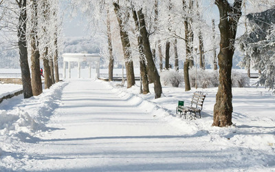 Snowy road in the park wallpaper