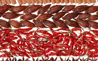 Spices [3] wallpaper 2560x1600 jpg