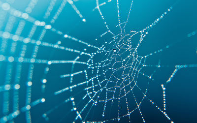 Spider web wallpaper
