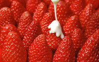 Strawberries [13] wallpaper 1920x1200 jpg