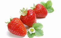 Strawberries [5] wallpaper 1920x1200 jpg