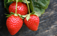 Strawberries [6] wallpaper 2560x1600 jpg