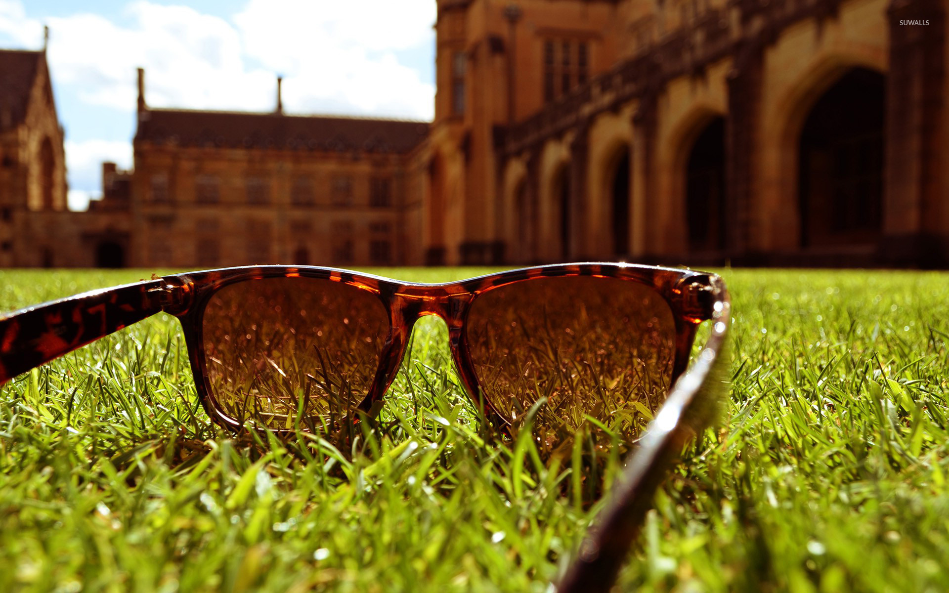 Sunglasses In The Grass Wallpaper Photography Wallpapers HD Wallpapers Download Free Map Images Wallpaper [wallpaper376.blogspot.com]
