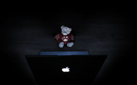 Teddy bear at the Macbook wallpaper 2560x1600 jpg