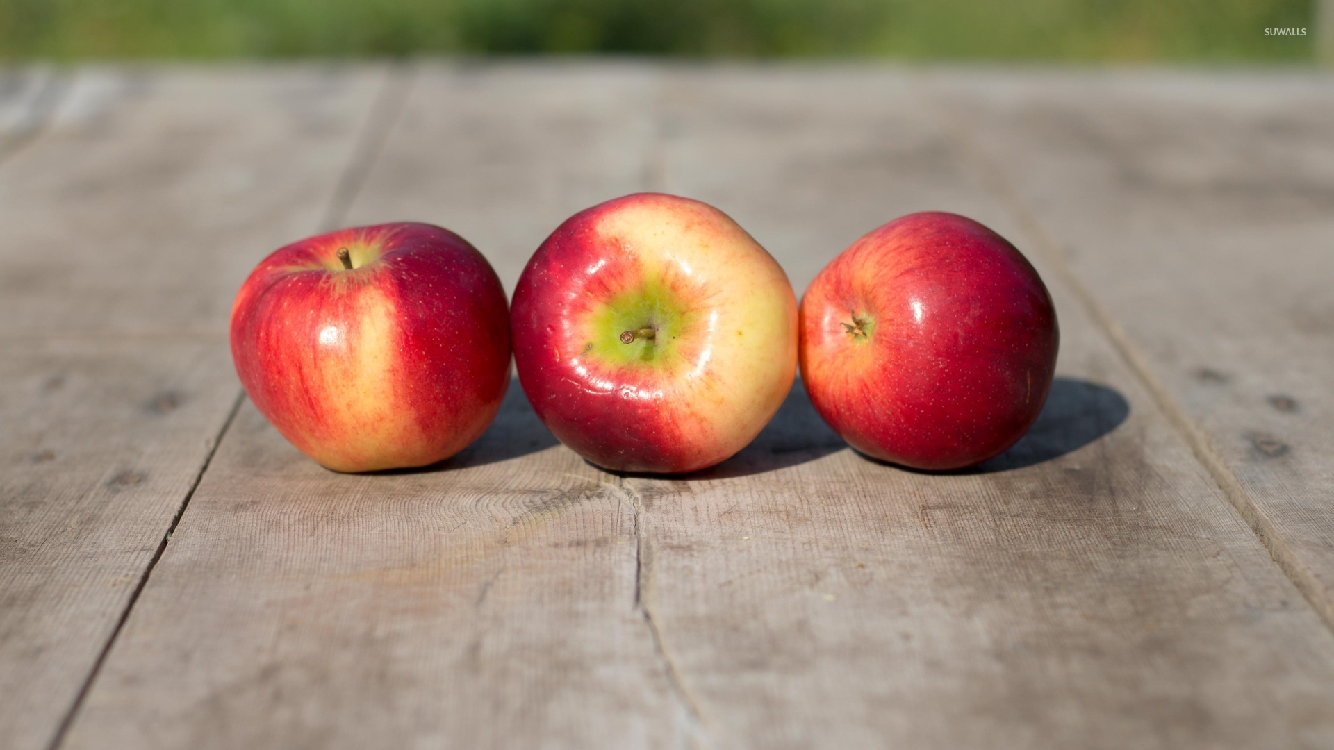 Three red apples on the table wallpaper - Photography wallpapers - #48757