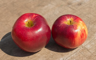 Two ripe apples wallpaper