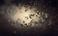 Water drops [6] wallpaper 1920x1200 jpg