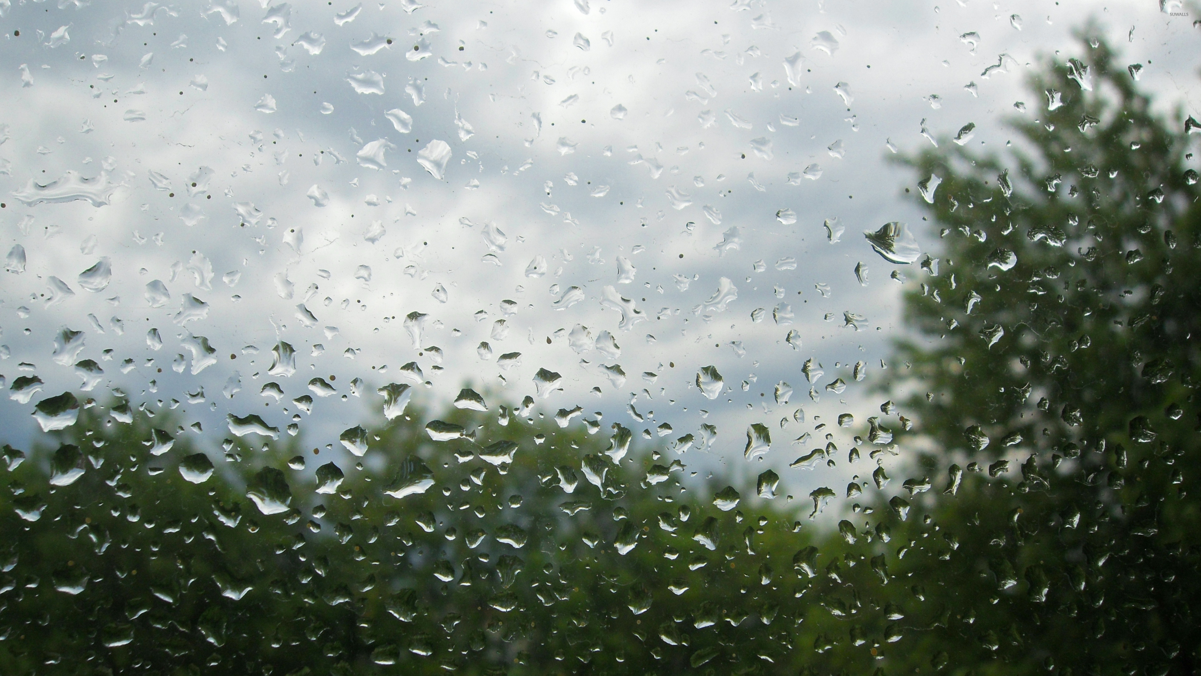 Пенья дождя. Лето дождь. Дождливое лето. Ливень. Дождь картинки.