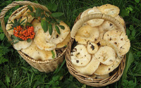 White mushrooms in baskets wallpaper 1920x1200 jpg