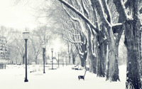 Winter in the park [2] wallpaper 1920x1080 jpg