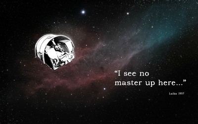 I See No Master Up Here Wallpaper Quote Wallpapers