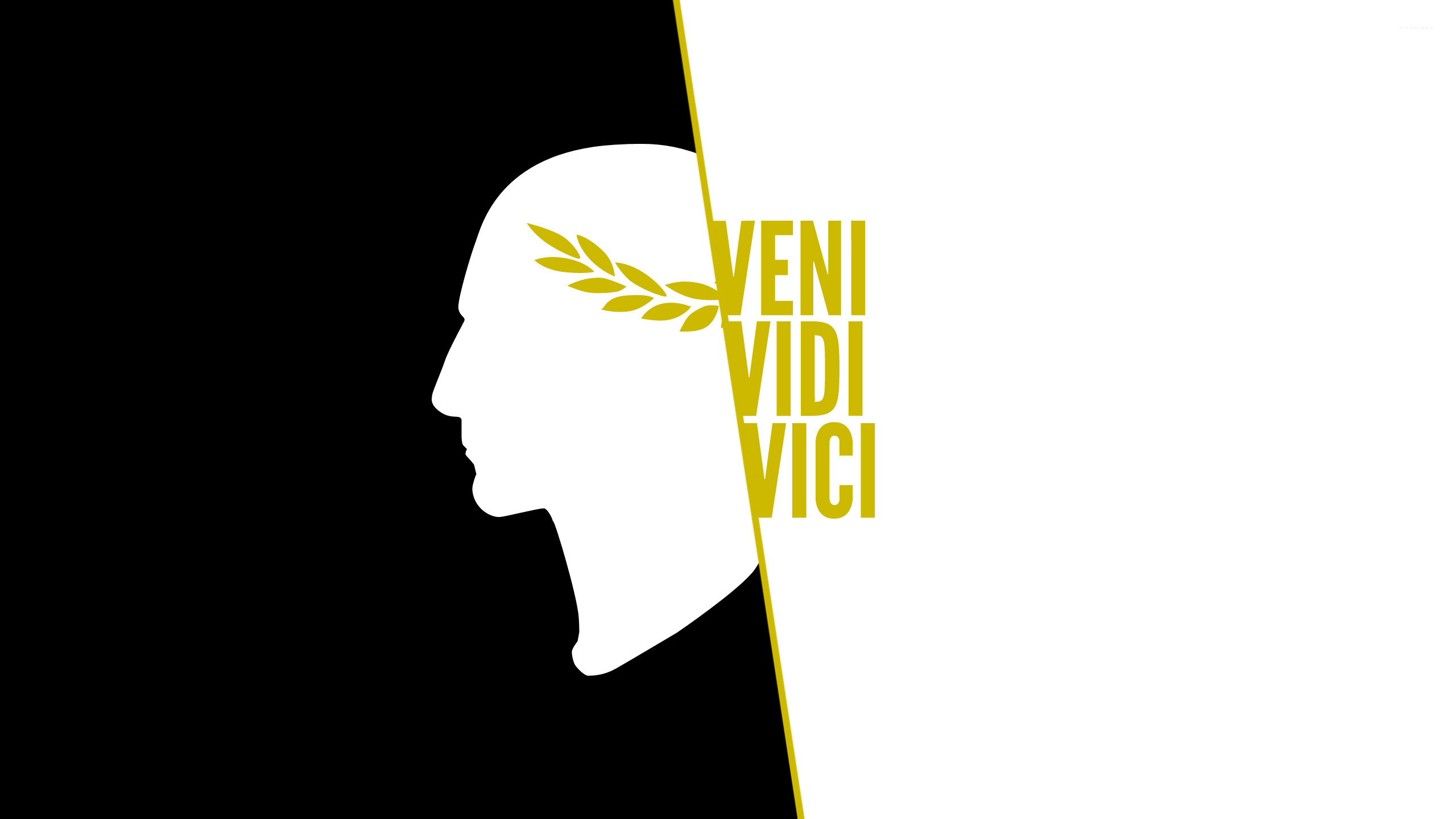 Motivation Wallpaper Veni Vidi Vici in 2023  Greek gods wallpaper  aesthetic Gym wallpaper Greek mythology statue