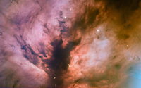 Flame Nebula wallpaper 2560x1600 jpg