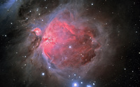 Orion Nebula [3] wallpaper 2560x1600 jpg