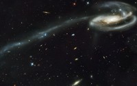Tadpole galaxy wallpaper 1920x1200 jpg