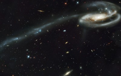 Tadpole galaxy wallpaper