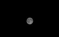 The full moon on a clear night wallpaper 3840x2160 jpg