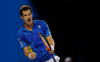 Andy Murray - Tennis wallpaper 2560x1600 jpg