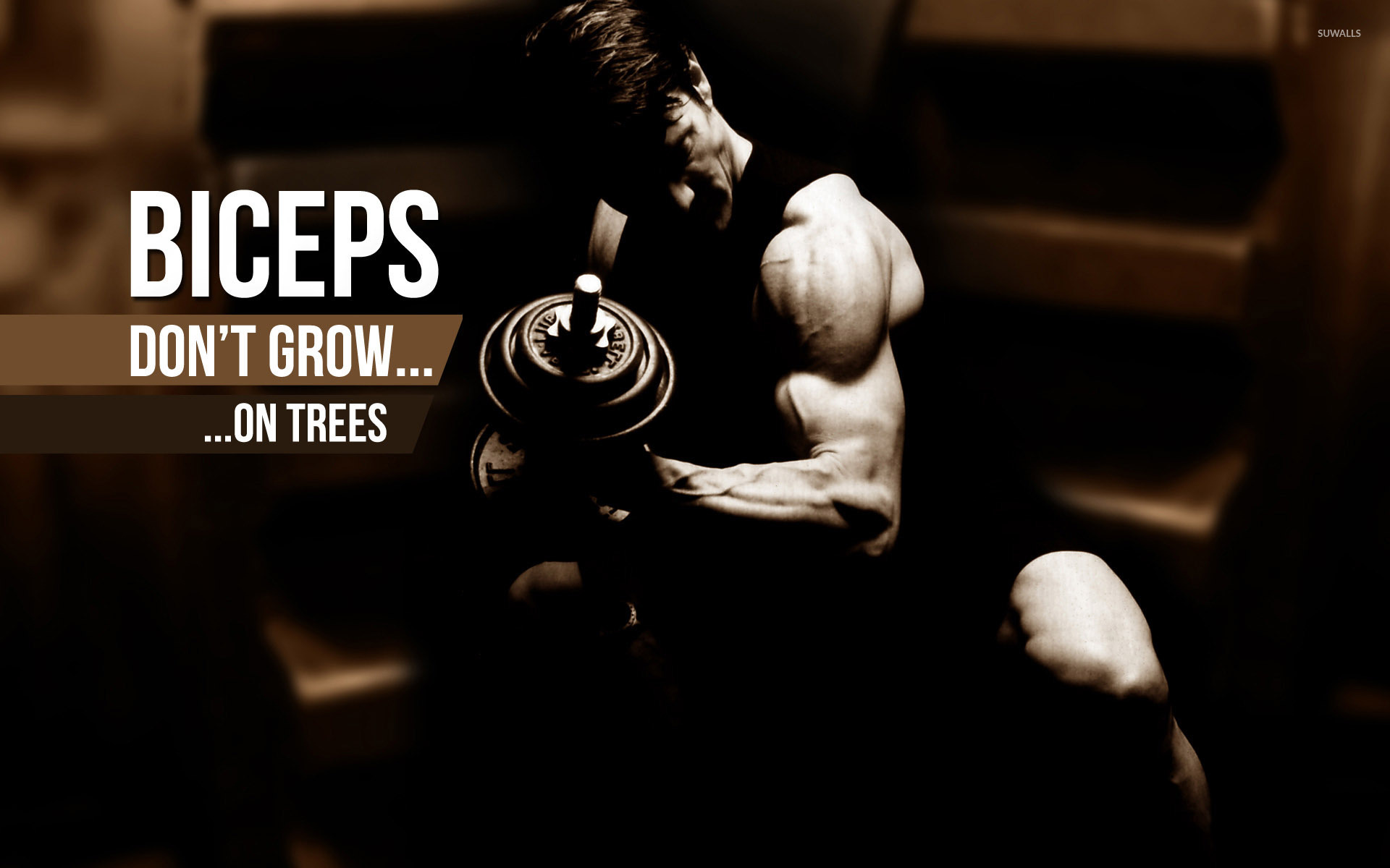 Bodybuilding Motivation Wallpaper Images