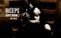 Biceps don't grow on trees wallpaper 1920x1200 jpg