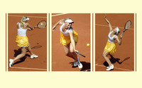 Maria Sharapova [35] wallpaper 1920x1200 jpg