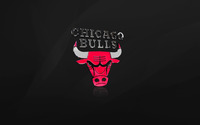 Shiny Chicago Bulls logo wallpaper 2560x1600 jpg