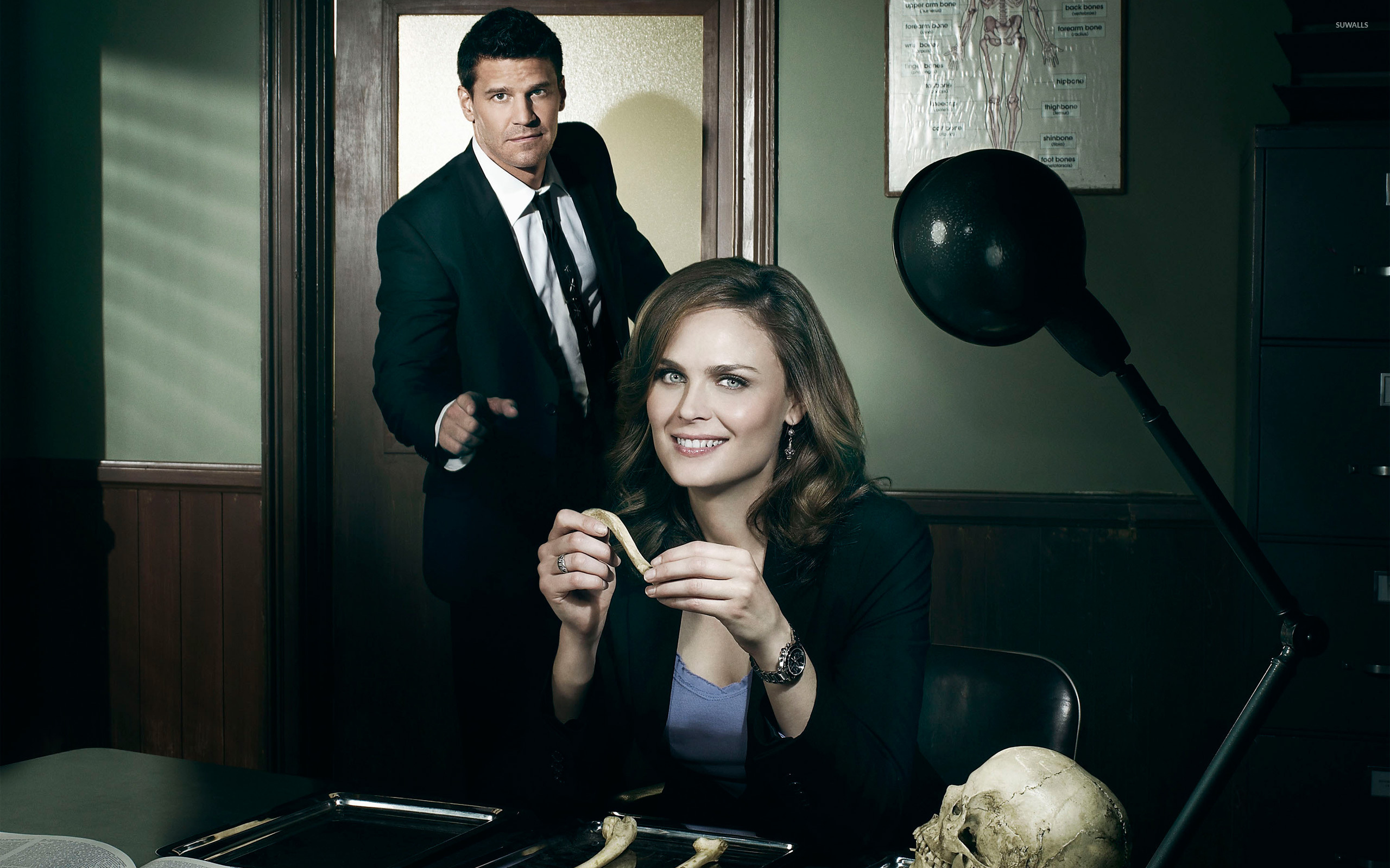 Кости. Дом Темперанс Бреннан. Bones сериал. Кости сериал на тв3. Дом Темперанс Бреннан и Бута.