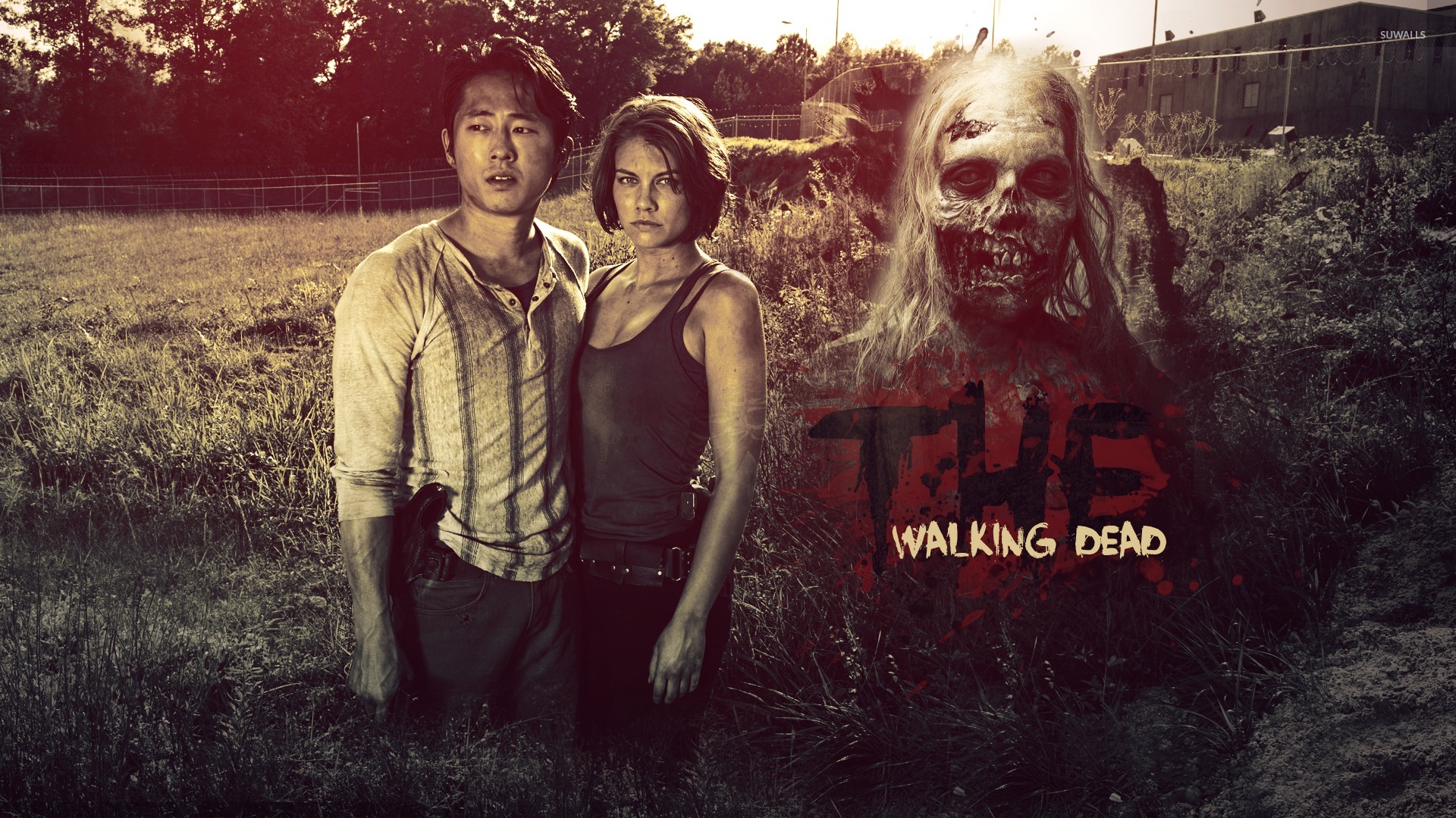 Glenn And Maggie Greene The Walking Dead Wallpaper Tv Show Images, Photos, Reviews