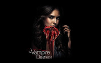 The Vampire Diaries [13] wallpaper 1920x1200 jpg