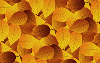 Autumn leaves [13] wallpaper 2880x1800 jpg
