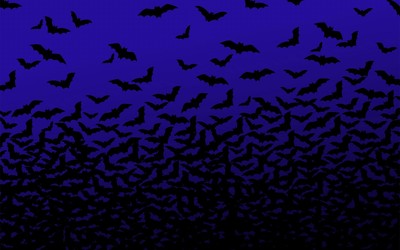 Bats wallpaper