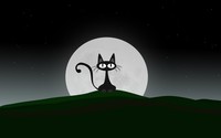 Black cat on a beautiful night with full moon wallpaper 1920x1200 jpg