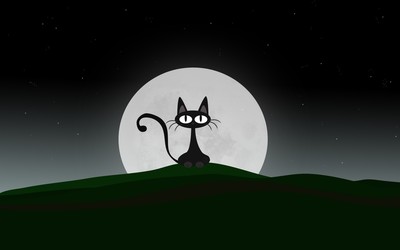 Black cat on a beautiful night with full moon Wallpaper