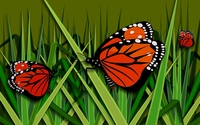 Butterflies [12] wallpaper 1920x1200 jpg