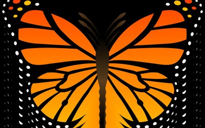 Butterfly [33] wallpaper