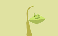 Chameleon on a leaf wallpaper 2560x1600 jpg