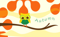 Cute owl on a branch wallpaper 3840x2160 jpg
